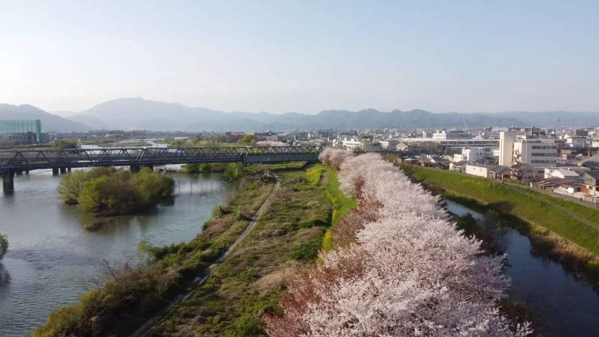 セレマあんしん祭典天神川ホールの家族葬ガイド